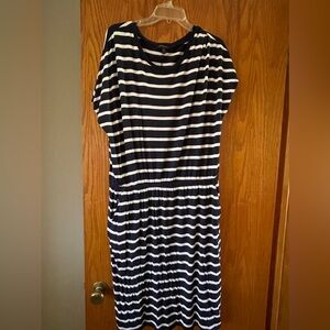 Navy/White Banana Republic Dress